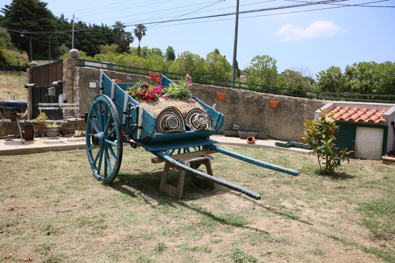 Quinta Da Chapeleira Em Azeitao Villa Kültér fotó